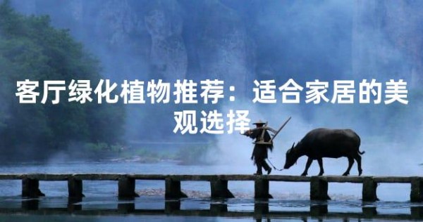 客厅绿化植物推荐：适合家居的美观选择