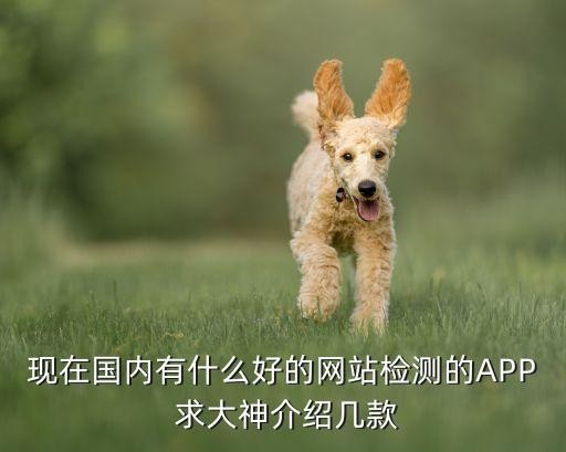 现在国内有什么好的网站检测的APP 求大神介绍几款