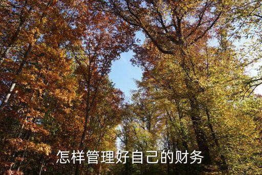怎样管理好自己的财务