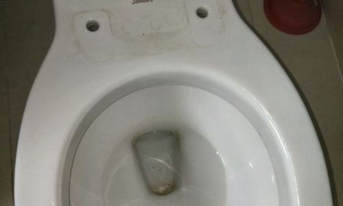 马桶盖泛黄有妙招