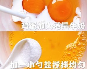 低脂食谱12~鸡肉卷|快手低卡吃不胖美食的做法 步骤7