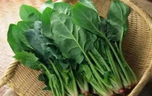 养生每天必吃的食物 推荐能养生的每天吃的食物