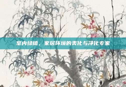 室内绿植,家居环境的美化与净化专家