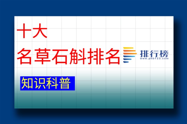 十大名草石斛排名：金钗石斛上榜(晶帽石斛为濒危物种)