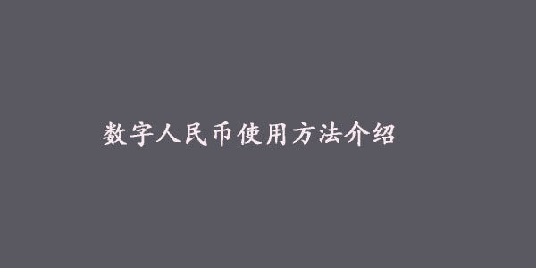 数字人民币怎么使用