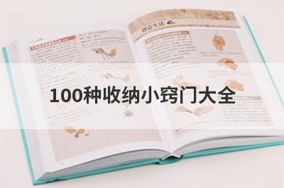 100种收纳小窍门大全(收纳小窍门100妙招)