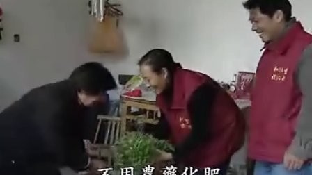 健康饮食合集
