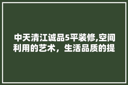 中天清江诚品5平装修,空间利用的艺术，生活品质的提升 室内设计