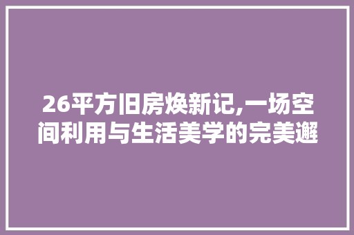 26平方旧房焕新记,一场空间利用与生活美学的完美邂逅 瓷砖