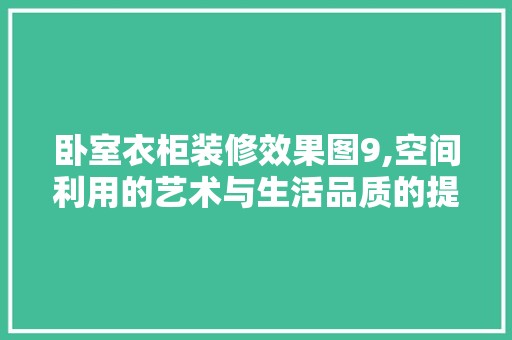 卧室衣柜装修效果图9,空间利用的艺术与生活品质的提升 现代风格装饰