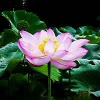 怎么擦玻璃