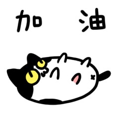 不可错过！史上最全的驾考指南