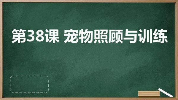 苏教版七年级下册劳动技术+第38课+宠物照顾与训练