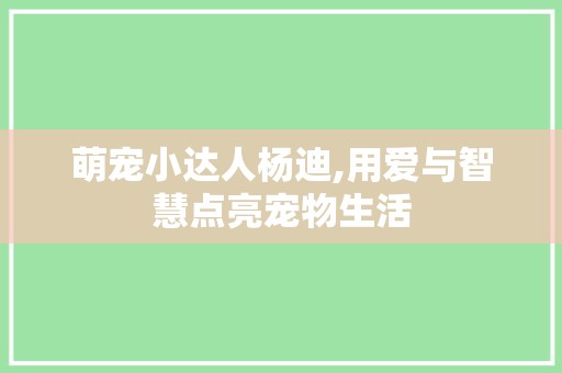 萌宠小达人杨迪,用爱与智慧点亮宠物生活