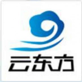 曹县云东方工艺品有限公司