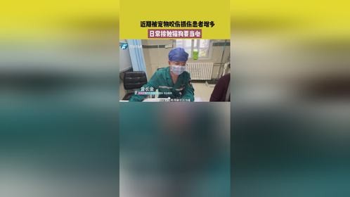 近期被宠物咬伤抓伤患者增多 日常接触猫狗要当心