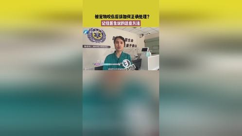 被宠物咬伤后该如何正确处理？记住医生说的这些方法