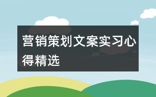 营销策划文案实习心得精选