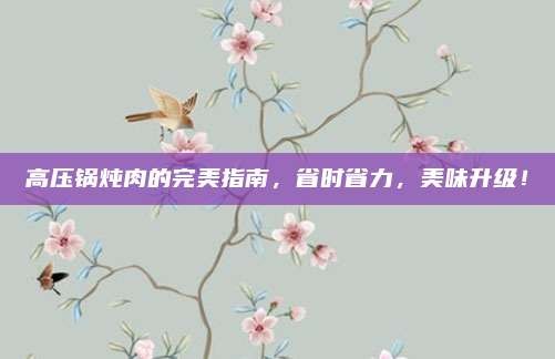 高压锅炖肉的完美指南,省时省力,美味升级!
