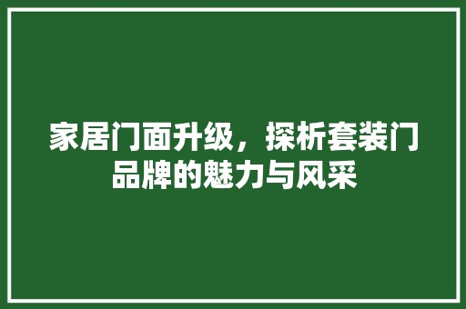 家居门面升级，探析套装门品牌的魅力与风采 现代风格装饰