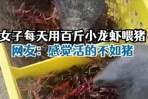 气压对龙虾的影响
