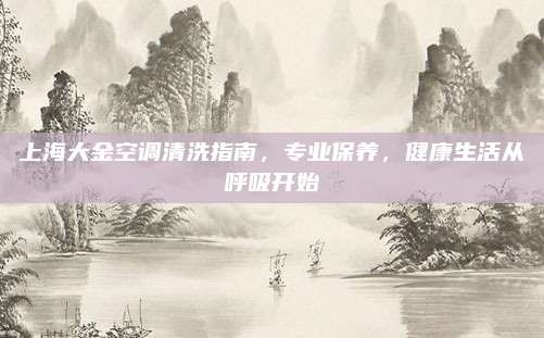 上海大金空调清洗指南，专业保养，健康生活从呼吸开始