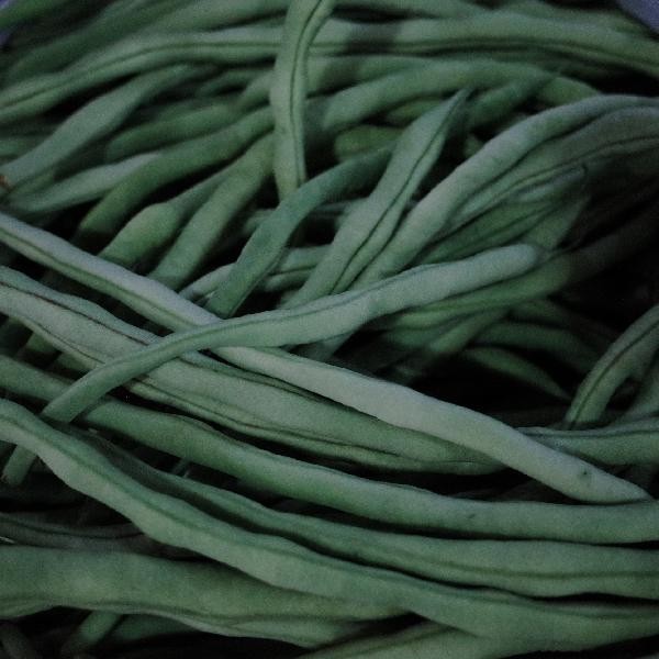 切菜板多久换一次比较好