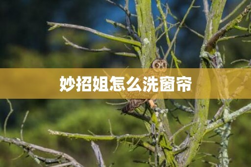 妙招姐怎么洗窗帘