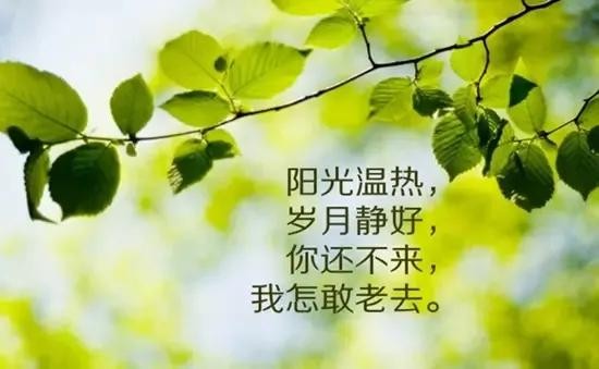 关于休闲时光的心情说说，享受惬意生活的美好句子