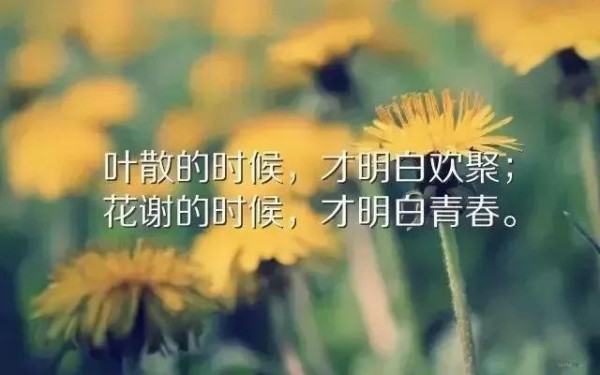 关于休闲时光的心情说说，享受惬意生活的美好句子