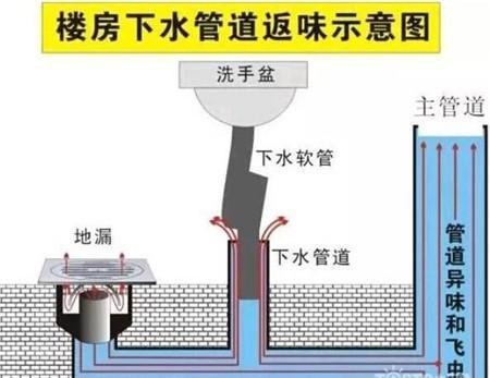教你几招搞定卫生间异味