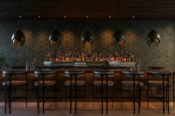 The Hive at 21C Museum Hotel - Bar design emulating bees and honeycombs