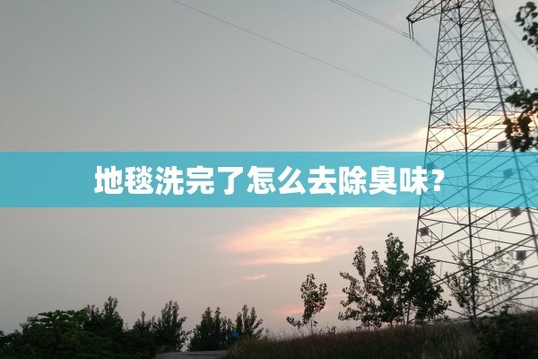 地毯洗完了怎么去除臭味？