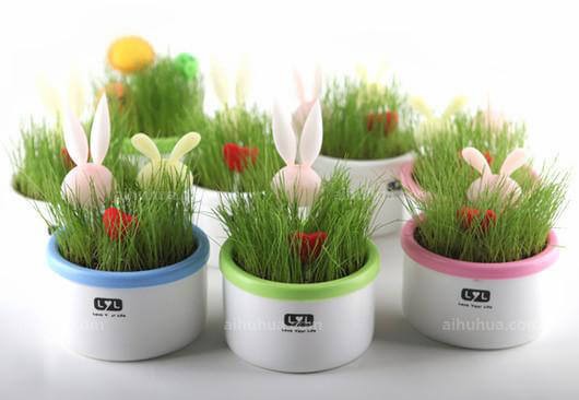 家庭DIY绿色植物 第3张