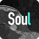 soul最新版