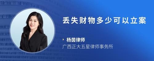 丢失财物多少可以立案