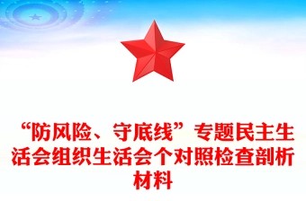 “防风险、守底线”专题民主生活会组织生活会个对照检查剖析材料