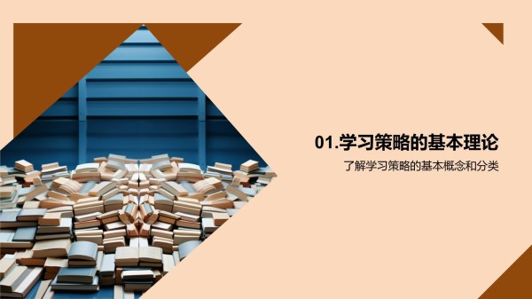 学习策略大全_第3页