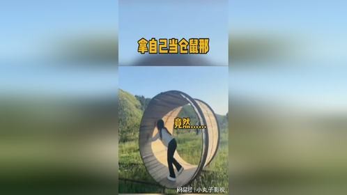 不撞南墙不回头！好家伙了，拿自己当仓鼠呢？