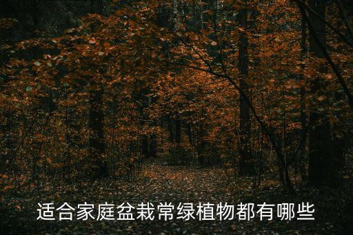 适合家庭盆栽常绿植物都有哪些