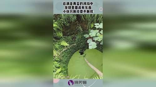 在满是青苔的河沟中，发现里面真有东西，小伙只敢戏耍不敢捞！
