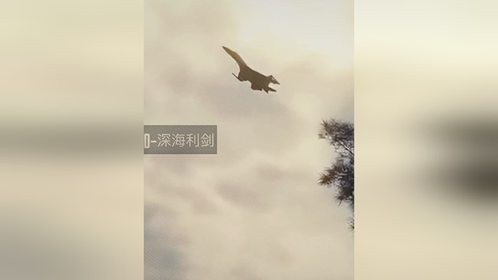 “这都快贴地了，太刺激了吧”