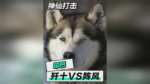 歼十VS阵风军武正当燃
