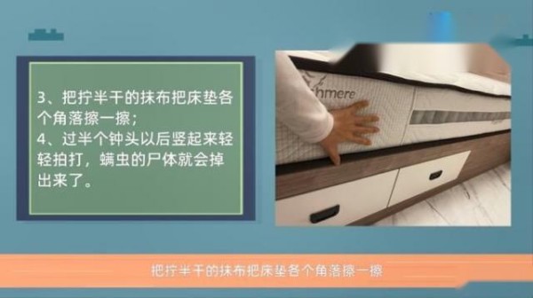 怎样除螨虫最有效方法 第3张