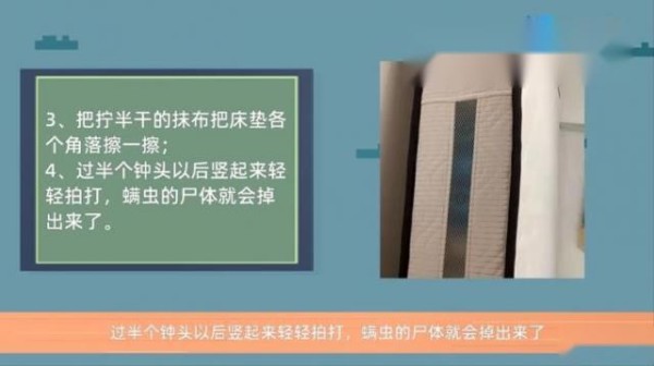怎样除螨虫最有效方法 第4张