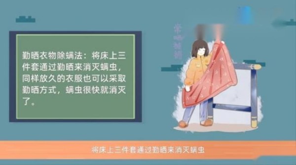 怎样除螨虫最有效方法 第6张