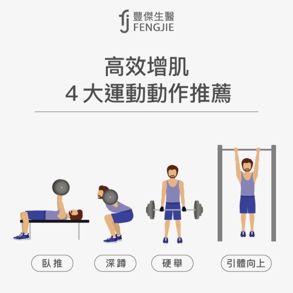 高效增肌4大運動動作推薦:深蹲、硬舉、臥推、引體向上