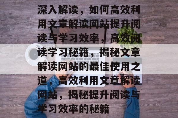 深入解读，如何高效利用文章解读网站提升阅读与学习效率，高效阅读学习秘籍，揭秘文章解读网站的最佳使用之道，高效利用文章解读网站，揭秘提升阅读与学习效率的秘籍