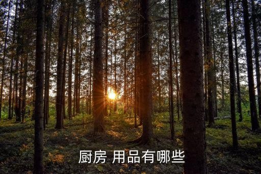  厨房 用品有哪些