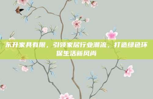 东升家具有限,引领家居行业潮流,打造绿色环保生活新风尚